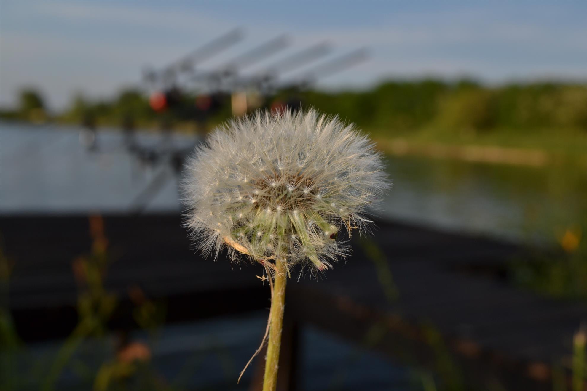 partide de pescuit - 20130506287.JPG